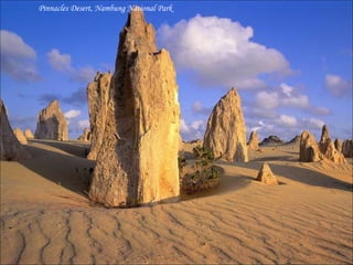 Pinnacles Desert, Nambung National Park 