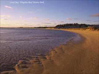 Coral Bay, Ningaloo Reef Marine Park 