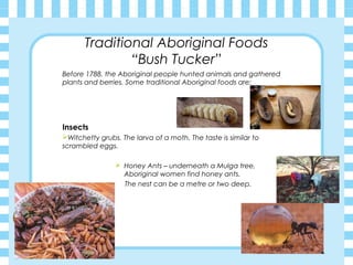 Traditional Aboriginal Foods
“Bush Tucker”
Before 1788, the Aboriginal people hunted animals and gathered
plants and berries. Some traditional Aboriginal foods are;
Insects
Witchetty grubs. The larva of a moth. The taste is similar to
scrambled eggs.
 Honey Ants – underneath a Mulga tree,
Aboriginal women find honey ants.
The nest can be a metre or two deep.
 