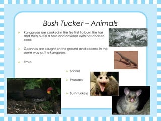Bush Tucker – Animals
 
