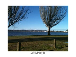 Lake Wendouree
 