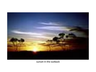 sunset in the outback
 