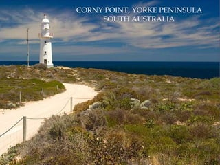 CORNY POINT, YORKE PENINSULASOUTH AUSTRALIA