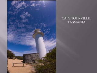 CAPE TOURVILLE, TASMANIA