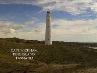 CAPE WICKHAM,KING ISLAND, TASMANIA