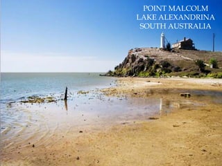 POINT MALCOLMLAKE ALEXANDRINASOUTH AUSTRALIA