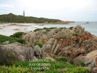 EDDYSTONE,BAY OF FIRESTASMANIA