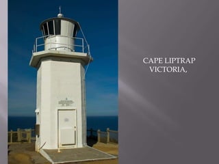 CAPE LIPTRAPVICTORIA, 