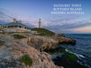 BATHURST  POINTROTTNEST ISLANDWESTERN AUSTRALIA