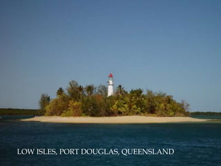 LOW ISLES, PORT DOUGLAS, QUEENSLAND