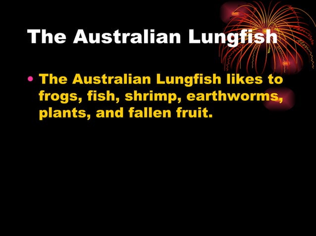 Australian Lungfish | PPT