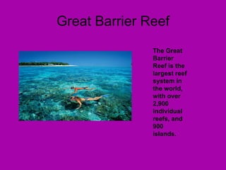 Great Barrier Reef The Great Barrier Reef is the largest reef system in the world, with over 2,900 individual reefs, and 900 islands. 