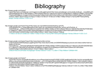Bibliography http://images.google.com/imgres?imgurl=http://www.animaldanger.com/images/crocodile.jpg&imgrefurl=http://www.animaldanger.com/australia.php&usg=__lcesq8SIbLgI73cWs2Qs90A83gw=&h=415&w=640&sz=77&hl=en&start=0&zoom=1&tbnid=de1xDZHYV1DDaM:&tbnh=154&tbnw=205&ei=JYdqTbyrNMT7lwekzpWDAg&prev=/images%3Fq%3Daustralian%2Banimals%26hl%3Den%26biw%3D1280%26bih%3D840%26gbv%3D2%26tbs%3Disch:1&itbs=1&iact=hc&vpx=477&vpy=313&dur=231&hovh=181&hovw=279&tx=180&ty=87&oei=JYdqTbyrNMT7lwekzpWDAg &page=1&ndsp=24&ved=1t:429,r:8,s:0 http://images.google.com/imgres?imgurl=http://www.uen.org/utahlink/activities/loadimg.cgi%3Fp%3D/uploads/4783_a_koala.jpg&imgrefurl=http://www.uen.org/utahlink/activities/view_activity.cgi%3Factivity_id%3D4783&usg=__juKbboS1XiZ0zcRXwwHcxUkDi0A=&h=400&w=300&sz=91&hl=en&start=0&zoom=1&tbnid=8SUV9ZcMsZTDSM:&tbnh=156&tbnw=119&ei=JYdqTbyrNMT7lwekzpWDAg&prev=/images%3Fq%3Daustralian%2Banimals%26hl%3Den%26biw%3D1280%26bih%3D840%26gbv%3D2%26tbs%3Disch:1&itbs=1&iact=hc&vpx=755&vpy =116&dur=261&hovh=240&hovw=180&tx=103&ty=91&oei=JYdqTbyrNMT7lwekzpWDAg&page=1&ndsp=24&ved=1t:429,r:3,s:0 http://images.google.com/imgres?imgurl=http://www.bluemumble.com/wp-content/uploads/2008/05/platypus.jpg&imgrefurl=http://www.bluemumble.com/2008/05/08/platypus-pictures-and-videos-neither-fowl-nor-reptile-nor-fish-but-mammal/&usg=__oQVUpskUgReSfqVKaTdA93papB0=&h=262&w=500&sz=42&hl=en&start=0&zoom=1&tbnid=LGlUVKFd20kDKM:&tbnh=111&tbnw=211&ei=bIdqTan3J4PGlQe-vIiCAg&prev=/images%3Fq%3Dplatypus%26hl%3Den%26biw%3D1280%26bih%3D840%26gbv%3D2%26tbs%3Disch:10%2C114&itbs=1&iact=rc&dur= 330&oei=bIdqTan3J4PGlQe-vIiCAg&page=1&ndsp=20&ved=1t:429,r:11,s:0&tx=177&ty=56&biw=1280&bih=840 http://images.google.com/imgres?imgurl=http://archive.wongawillicolonialdance.org.au/thewombats/wombat2%255B1%255D.jpeg&imgrefurl=http://archive.wongawillicolonialdance.org.au/thewombats/thewombats.htm&usg=__xJFH1ECfngl3otOSkoUJAR8CQ8Q=&h=299&w=298&sz=17&hl=en&start=24&zoom=1&tbnid=95crA5vEQPcGpM:&tbnh=156&tbnw=167&ei=sYdqTdCkJMT1gAe50YDMCg&prev=/images%3Fq%3Dwombat%26hl%3Den%26biw%3D1280%26bih%3D840%26gbv%3D2%26tbs%3Disch:10%2C570&itbs=1&iact=rc&dur=256&oei=pYdqTf76CoKBlAfhg5iDAg&page=2&ndsp=22&ved=1t:429,r:6,s:24&tx=75&ty=82&biw=1280&bih=840 