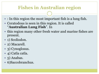 Fishes in Australian region
 : In this region the most important fish is a lung fish.
 Ceratodous is seen in this region. It is called
“Australian Lung Fish”. In
 this region many other fresh water and marine fishes are
present.
 1) Scoliodon.
 2) Macarell.
 3) Cynoglosus.
 4) Catla catla.
 5) Anabas.
 6)Saccobranchus.
 