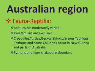  Fauna-Reptilia:
Reptiles are moderately varied
Two families are exclusive.
Crocodiles,Turtles,Geckos,Skinks,Varanus,Typhlops
,Pythons and some Colubrids occur in New Guinea
and parts of Australia
Pythons and tiger snakes are abundant
 