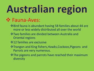  Fauna-Aves:
Bird fauna is abundant having 58 families about 44 are
more or less widely distributed all over the world
Two families are divided between Australia and
Oriental regions
12 families are exclusive
Trangon and King fishers,Hawks,Cockoos,Pigeons and
Parrots are very numerous.
The pigeons and parrots have reached their maximum
diversity
 