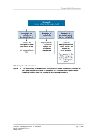 Therapeutic Goods Administration

Biologicals
(human cellular and tissue products)
Excluded from
regulation as
therapeutic goods

Regulated as
biologicals

Regulated as
therapeutic goods
but not biologicals

Listed in the
Therapeutic Goods
(Excluded) Order

Regulated by the
TGA under the
Biologicals
Regulatory
Framework

Listed in the
Therapeutic Goods
(Things that are not
Biologicals)
Determination

Not regulated by the
TGA

TGA = Therapeutic Goods Administration

Figure 1.1

Not regulated by the
TGA as biologicals
(but regulated by the
TGA as therapeutic
goods)

The relationship between human materials that are excluded from regulation as
therapeutic goods, regulated as biologicals, or regulated as therapeutic goods
but not as biologicals in the Biologicals Regulatory Framework

Australian Regulatory Guidelines for Biologicals
Part 1, Section 1.1 Overview
V1.0 June 2011

Page 21 of 45

 