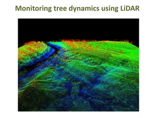 Monitoring tree dynamics using LiDAR
 