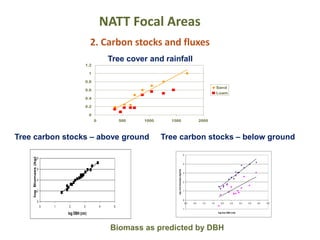 NATT Focal Areas
2. Carbon stocks and fluxes
0
0.2
0.4
0.6
0.8
1
1.2
0 500 1000 1500 2000
Sand
Loam
0
2
4
6
8
0 1 2 3 4 5
log DBH (cm)
logBiomass(kg)
-1
0
1
2
3
4
5
0.0 0.5 1.0 1.5 2.0 2.5 3.0 3.5 4.0 4.5
log tree DBH (cm)
logrootbiomass(kg/m2)
Tree carbon stocks – above ground Tree carbon stocks – below ground
Tree cover and rainfall
Biomass as predicted by DBH
 