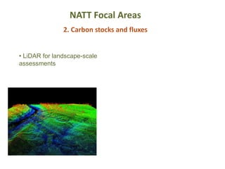 NATT Focal Areas
2. Carbon stocks and fluxes
• LiDAR for landscape-scale
assessments
 