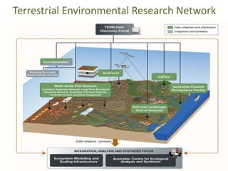 Terrestrial Environmental Research Network
 