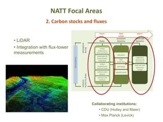 NATT Focal Areas
2. Carbon stocks and fluxes
• LiDAR
• Integration with flux-tower
measurements
Collaborating institutions:
• CDU (Hutley and Maier)
• Max Planck (Levick)
 