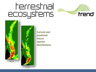 Current and
predicted
future
species
distributions
Now
2050
 
