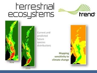 Current and
predicted
future
species
distributions
Now
2050
Mapping
sensitivity to
climate change
 