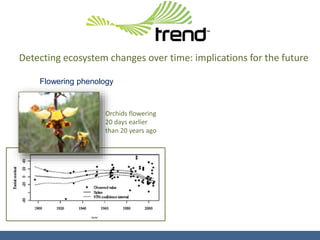 Detecting ecosystem changes over time: implications for the future
Orchids flowering
20 days earlier
than 20 years ago
Flowering phenology
 