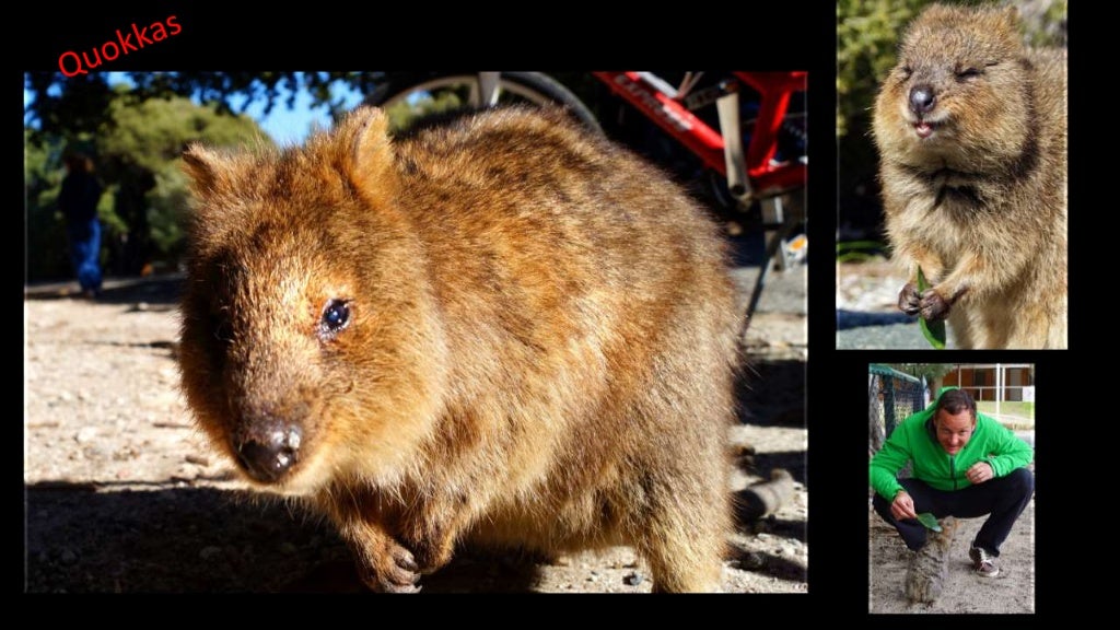 Australia Presentation