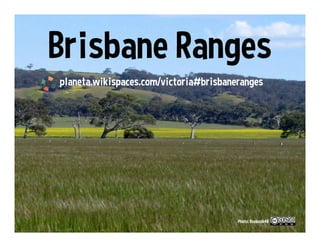 2 0 1 7
What we need from Australia
•  Live video from events
•  Engaging Facebook pages from tourism offices
•  Engaging Twitter interaction from officials
•  Multilingual info (English, Spanish y más)
•  Public access to tourism stats
•  Spotlight on nature conservation
•  Encouragement for fans of Australia
 