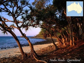 Noosa Heads - Queensland
 