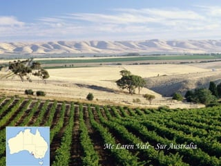 Mc Laren Vale - Sur Australia
 