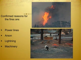 Confirmed reasons for the fires are:Power lines
