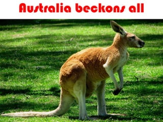 05/08/13
Australia beckons all
 