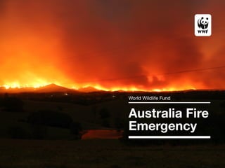 Australia Fire
Emergency
World Wildlife Fund
 