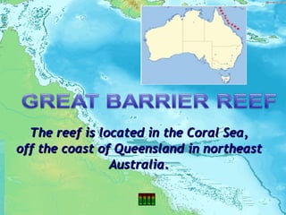 The reef is located in the Coral Sea, off the coast of Queensland in northeast Australia. 