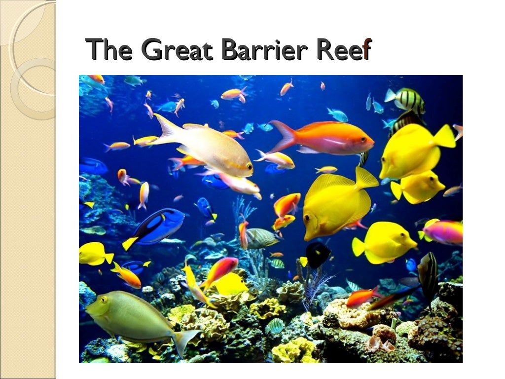 Australia, the land down under