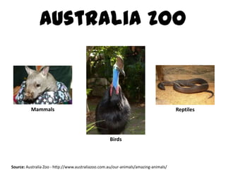 Australia Zoo



          Mammals                                                                     Reptiles




                                                    Birds



Source: Australia Zoo - http://www.australiazoo.com.au/our-animals/amazing-animals/
 