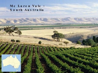 Mc Laren Vale - South Australia