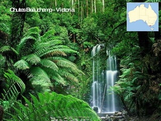 Chutes Beauchamp - Victoria 