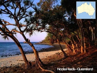 Noosa Heads - Queensland 