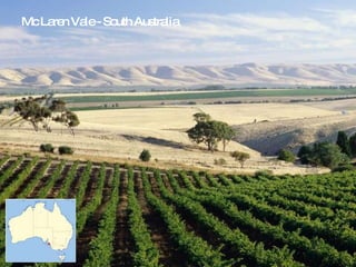 Mc Laren Vale - South Australia 