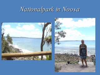 Nationalpark in Noosa 