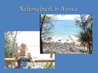 Nationalpark in Noosa 