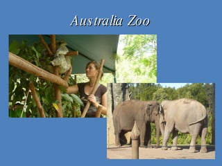 Australia Zoo 