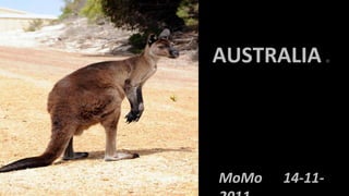 AUSTRALIA       O




MoMo   14-11-
 