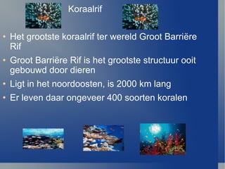 Koraalrif Het grootste koraalrif ter wereld Groot Barri ë re Rif Groot Barri ë re Rif is het grootste structuur ooit gebouwd door dieren Ligt in het noordoosten, is 2000 km lang Er leven daar ongeveer 400 soorten koralen 