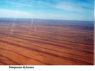 Simpsono dykuma  
