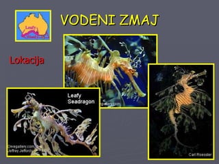 VODENI ZMAJ Lokacija 